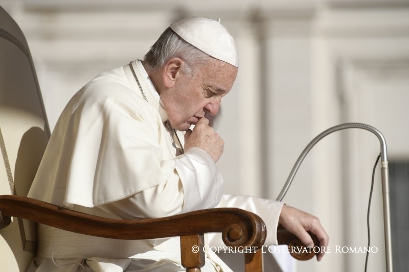 Udienza papa 12 ottobre